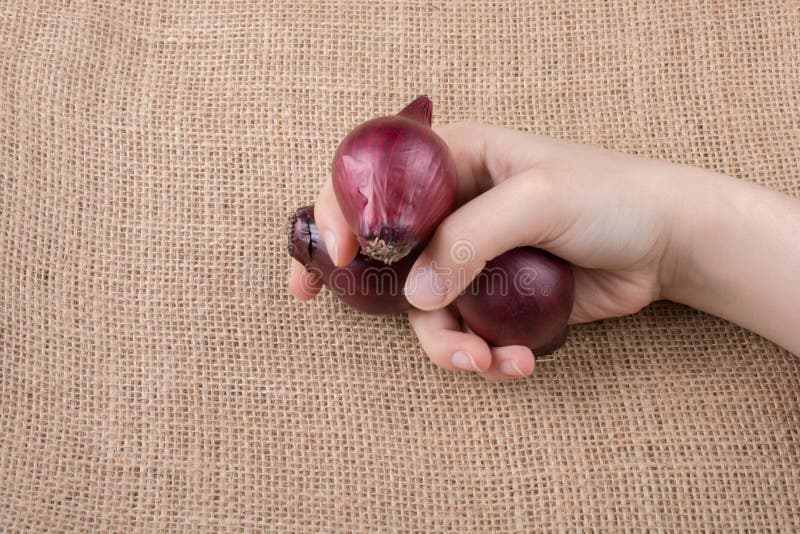 Rode uibollen ter beschikking op canvas royalty-vrije stock fotografie Rode uibollen ter beschikking op canvas royalty-vrije stock fotografie