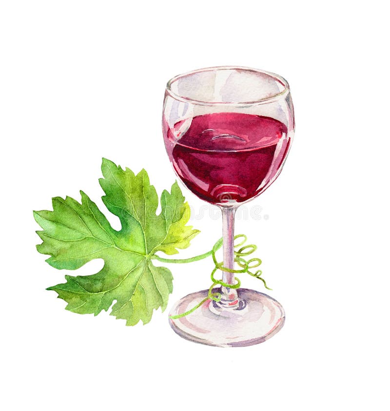 Red wine glass, vine leaves with scroll. Watercolor. Red wine glass, vine leaves with scroll. Watercolor