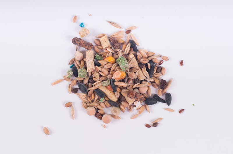 Rodent dry food poured in a pile on white background. Rodent dry food poured in a pile on white background