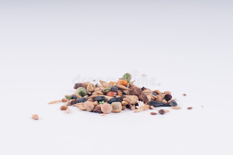 Rodent dry food poured in a pile on white background. Rodent dry food poured in a pile on white background