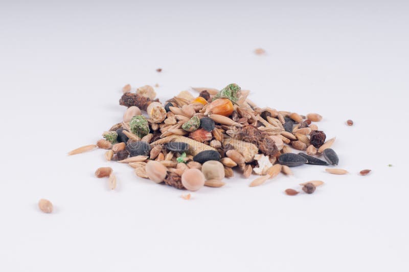 Rodent dry food poured in a pile on white background. Rodent dry food poured in a pile on white background