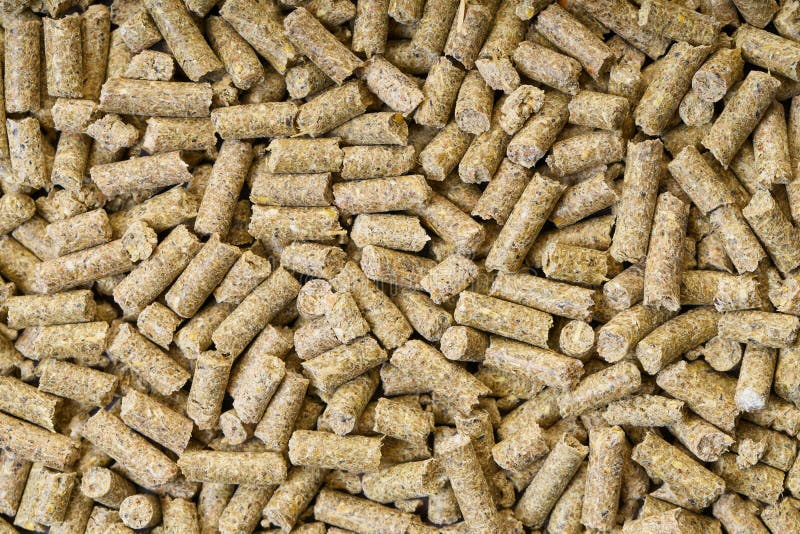 Rodent Feed Texture Closeup Stock Image Image of food, macro 164719119