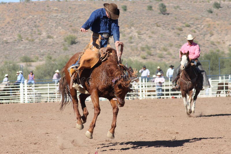 Rodeos are very popular in the western states of the United States. One of the most popular rodeo events is bronc (bucking horse) riding. Rodeos are very popular in the western states of the United States. One of the most popular rodeo events is bronc (bucking horse) riding.