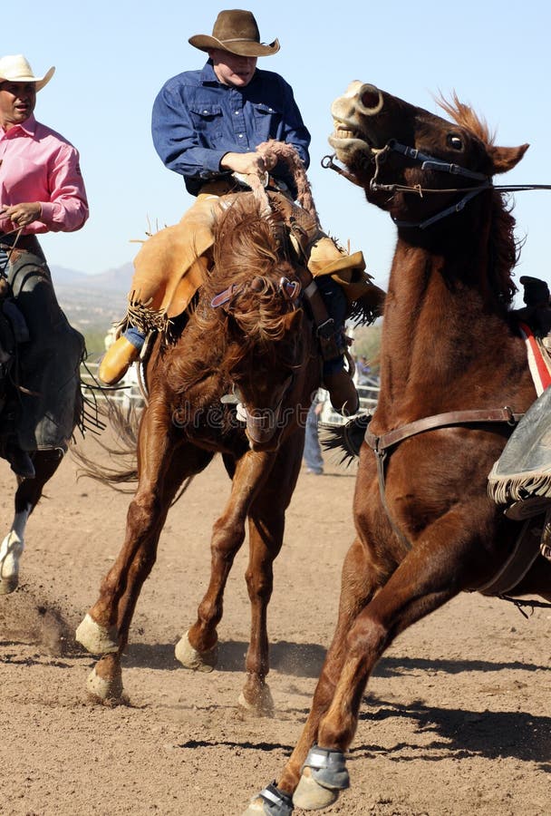 Rodeos are very popular in the western states of the United States. One of the most popular rodeo events is bronc (bucking horse) riding. Rodeos are very popular in the western states of the United States. One of the most popular rodeo events is bronc (bucking horse) riding.