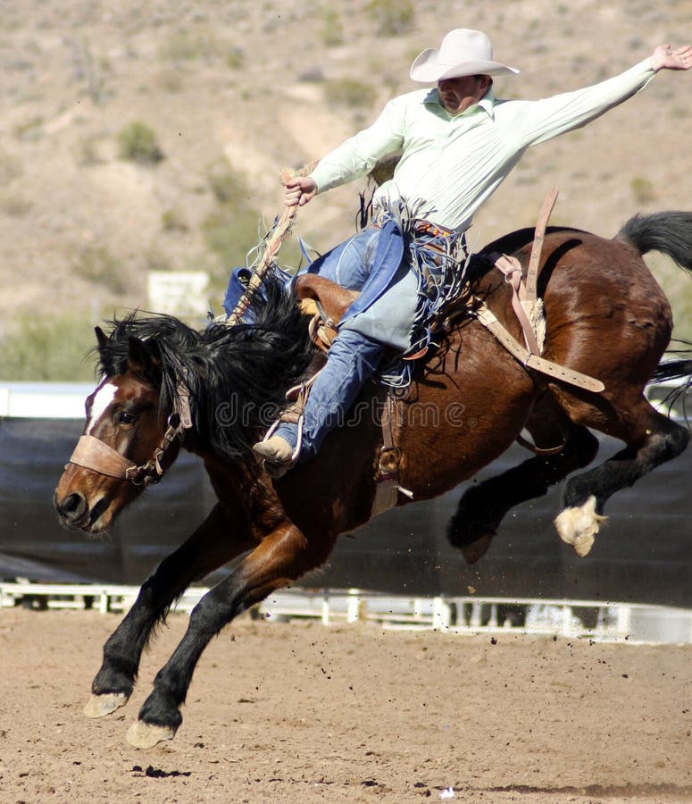 Rodeos are very popular in the western states of the United States. One of the most popular rodeo events is bronc (bucking horse) riding. Rodeos are very popular in the western states of the United States. One of the most popular rodeo events is bronc (bucking horse) riding.