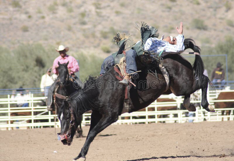 Rodeos are very popular in the western states of the United States. One of the most popular rodeo events is bronc (bucking horse) riding. Rodeos are very popular in the western states of the United States. One of the most popular rodeo events is bronc (bucking horse) riding.