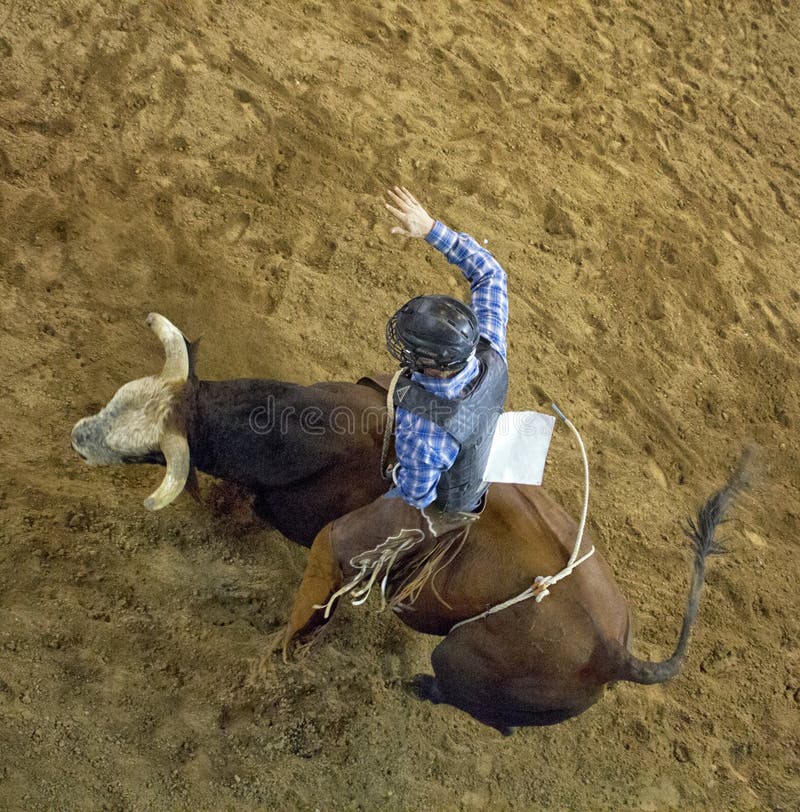 Rodeo bull rider cowboys
