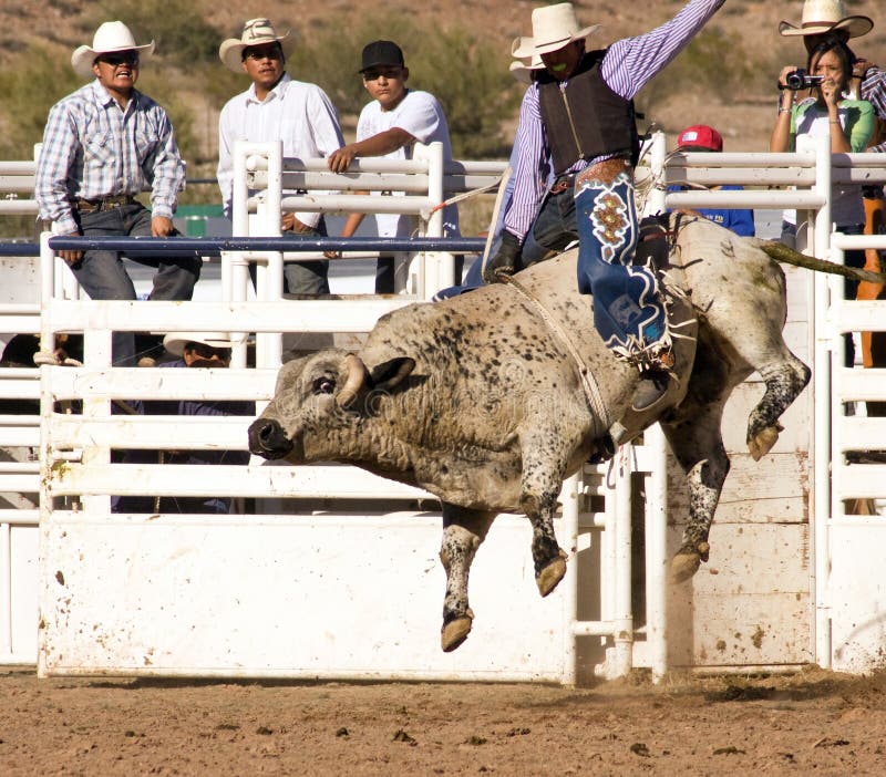 Rodeos are very popular in the western states of the United States. One of the most popular rodeo events is bull riding. Rodeos are very popular in the western states of the United States. One of the most popular rodeo events is bull riding.