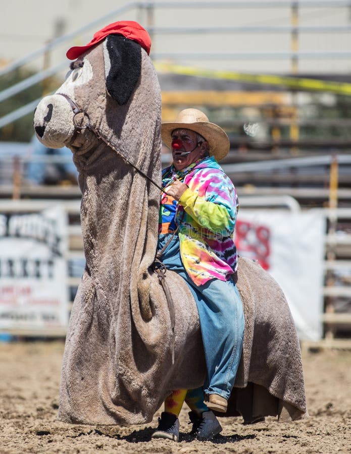 Rodeo błazen obrazy royalty free Rodeo błazen obrazy royalty free