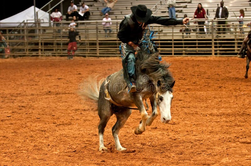 Rodeo-Cowboy stockfoto Rodeo-Cowboy stockfoto