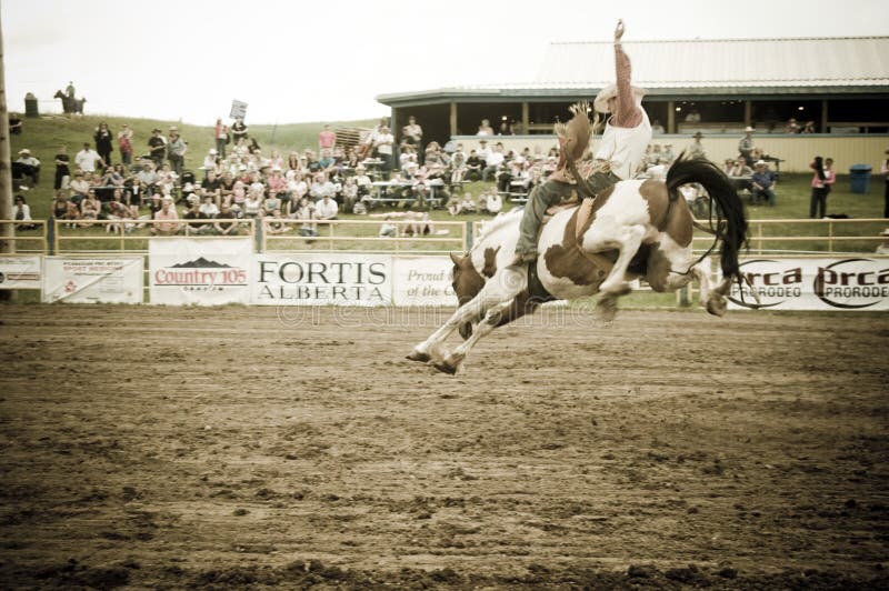Canadian pro rodeo in Airdrie Alberta Canada. Western rodeo in 2011. Canadian pro rodeo in Airdrie Alberta Canada. Western rodeo in 2011