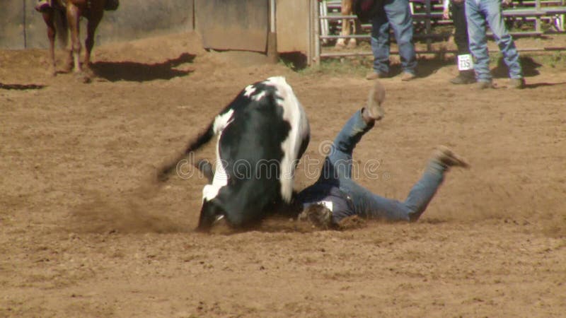 Rodeo Cowboys - Bulldogging Steer Wrestling in Slow Motion - Clip 4 of 9