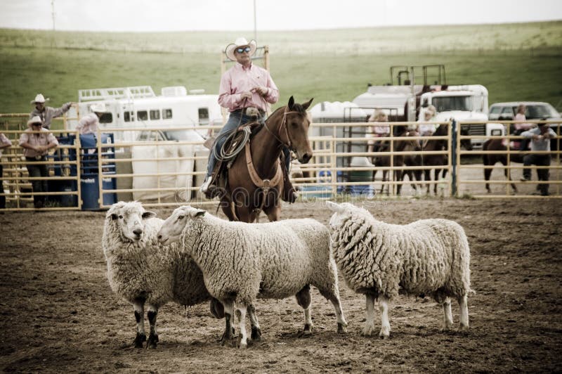 Canadian pro rodeo in Airdrie Alberta Canada. Western rodeo in 2011. Canadian pro rodeo in Airdrie Alberta Canada. Western rodeo in 2011