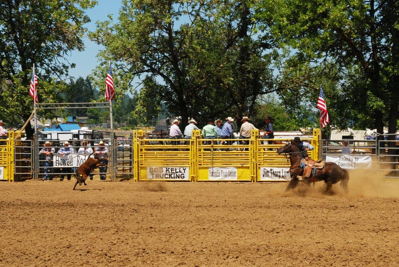 Rodeo Gates stock photo. Image of arena, gates, chute 34680934
