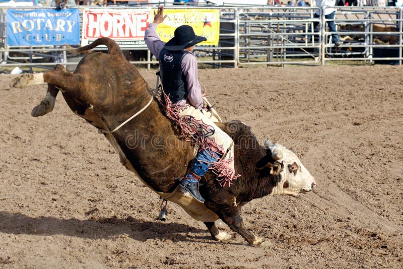 Rodeo perdido de los días del remiendo imagen de archivo libre de regalías Rodeo perdido de los días del remiendo imagen de archivo libre de regalías