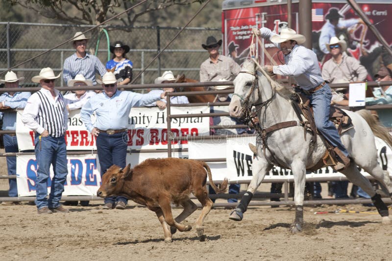 Rodeo Tie Down Roping