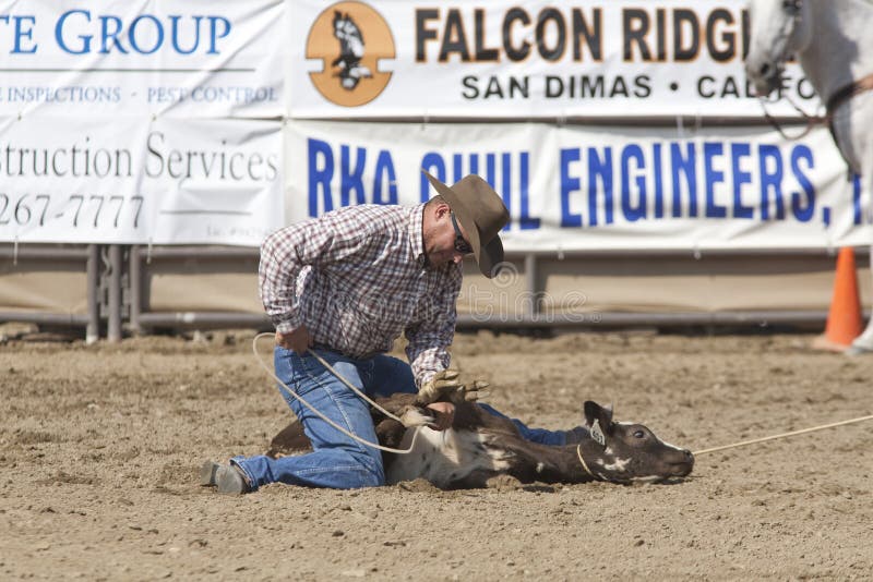 Rodeo Tie Down Roping