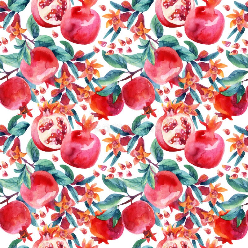 Rodii de rodii în apă și ramuri de rodii de fructe fără sudură vector illustration