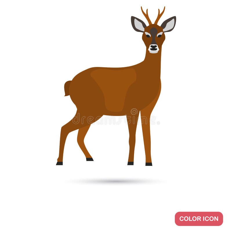 Roe deer color flat icon for web and mobile design royalty free illustration Roe deer color flat icon for web and mobile design royalty free illustration