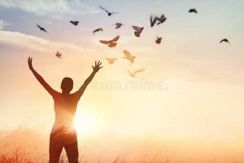 Rogación de la mujer y pájaro libre que disfrutan de la naturaleza en fondo de la puesta del sol imágenes de archivo libres de regalías Rogación de la mujer y pájaro libre que disfrutan de la naturaleza en fondo de la puesta del sol imágenes de archivo libres de regalías
