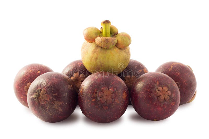 Rohe purpurrote Mangostanfrucht - Mangostanfruchtkönigin von den Früchten an lokalisiert stockfotos Rohe purpurrote Mangostanfrucht - Mangostanfruchtkönigin von den Früchten an lokalisiert stockfotos