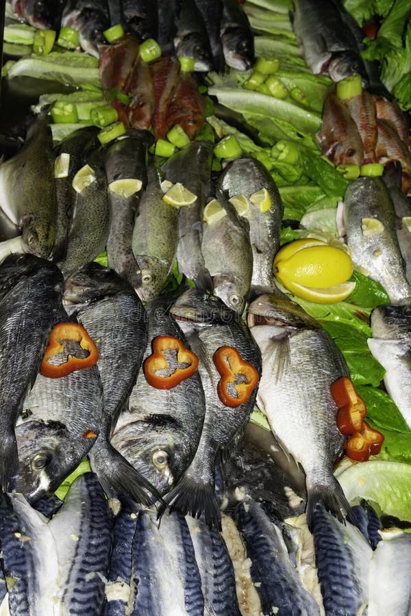 rohe rote Fische, dorada oder Seebrassen, Forelle, Makrele mit Gemüse im Markt, Draufsicht des Konzeptes der gesunden Ernährung lizenzfreie stockfotos rohe rote Fische, dorada oder Seebrassen, Forelle, Makrele mit Gemüse im Markt, Draufsicht des Konzeptes der gesunden Ernährung lizenzfreie stockfotos