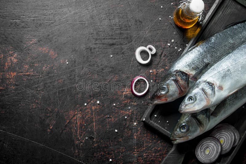 Rohe Seebarschfische mit Zwiebelringen und -gewürzen lizenzfreie stockbilder Rohe Seebarschfische mit Zwiebelringen und -gewürzen lizenzfreie stockbilder