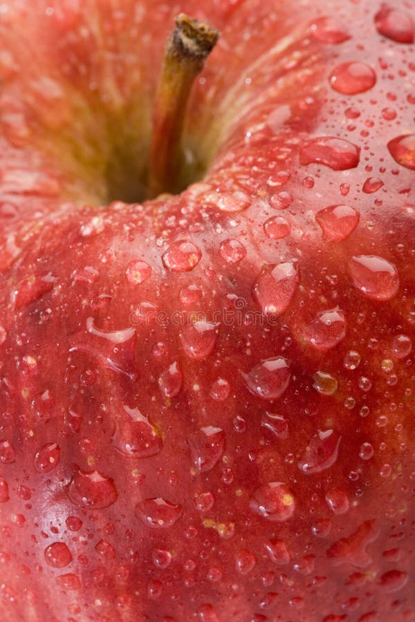Rojo macro de la manzana foto de archivo