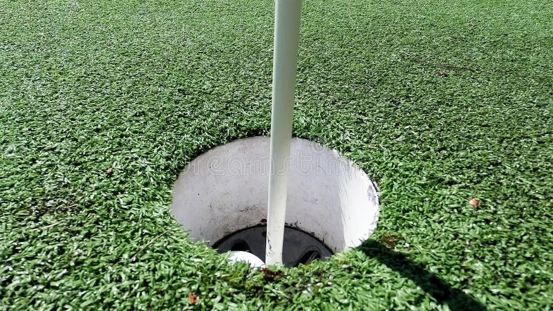 Rolamento branco da bola de golfe no copo no verde de colocação artificial