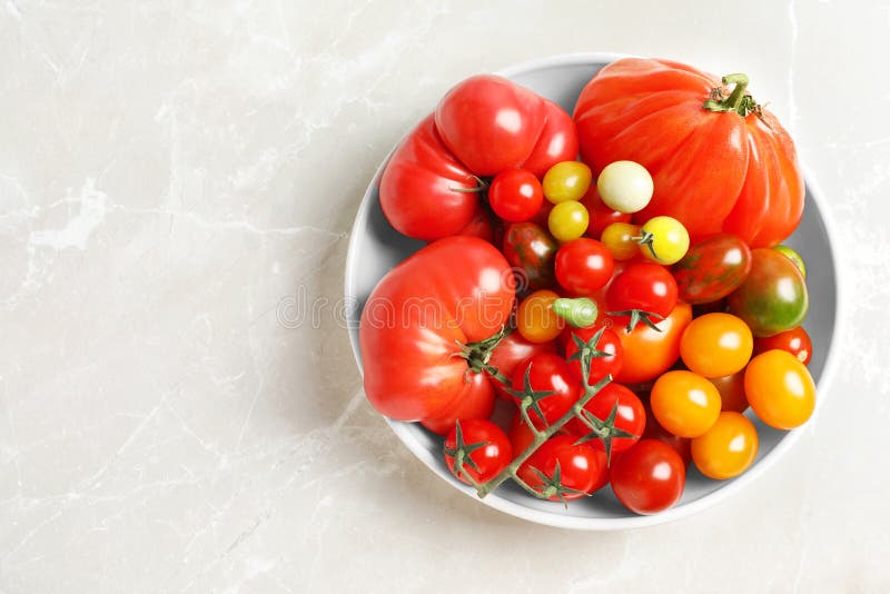 Role com os tomates suculentos saborosos e o espaço para o texto foto de stock royalty free