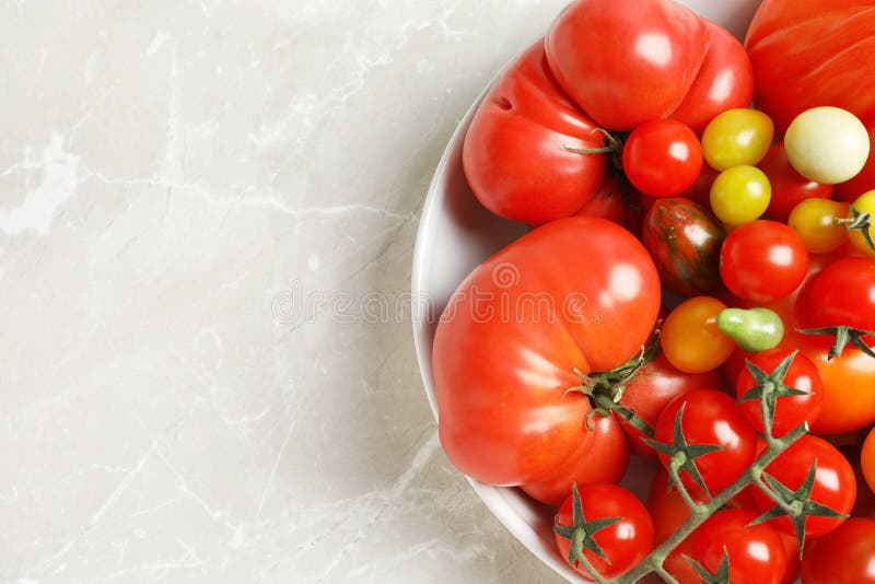 Role com os tomates suculentos saborosos e o espaço para o texto foto de stock