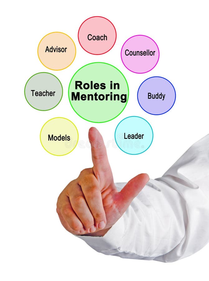 Roles assumed by mentor