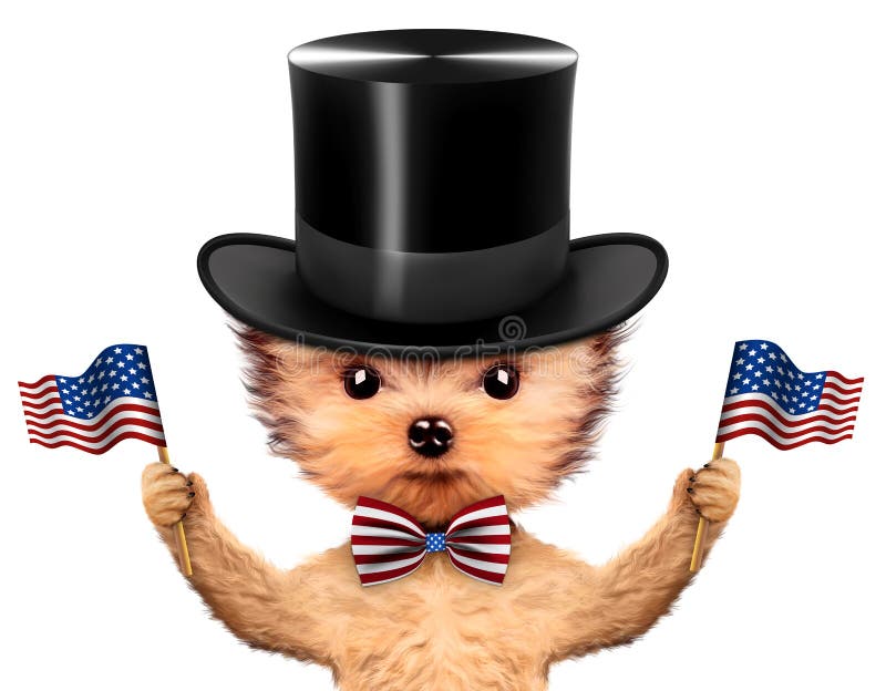 Funny dog holding USA flag, wearing cylinder and bow-tie. Concept of 4th of July and Independence Day, Realistic 3D illustration. Funny dog holding USA flag, wearing cylinder and bow-tie. Concept of 4th of July and Independence Day, Realistic 3D illustration.