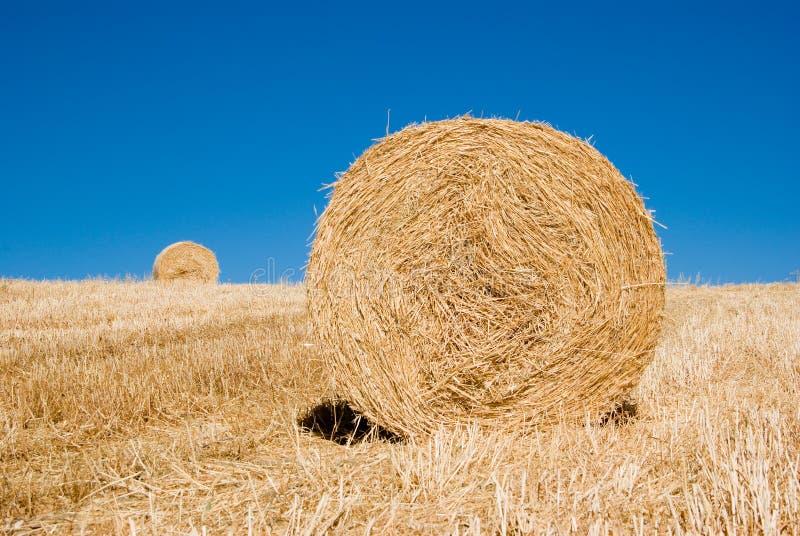 Roll of hay