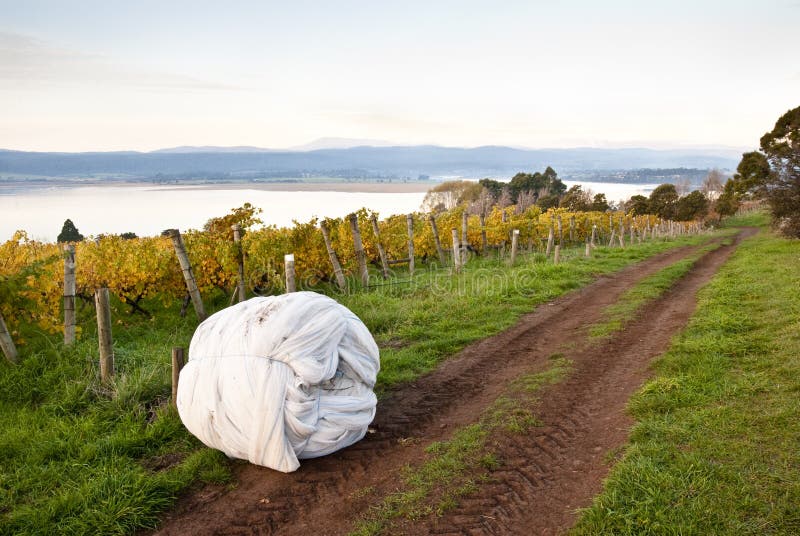 Roll of netting near vineyard, Tasmania