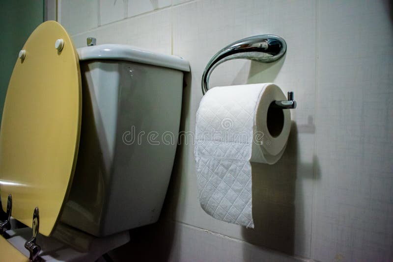Roll of Toilet Paper on a Hook in a Bathroom Stock Photo - Image of ...