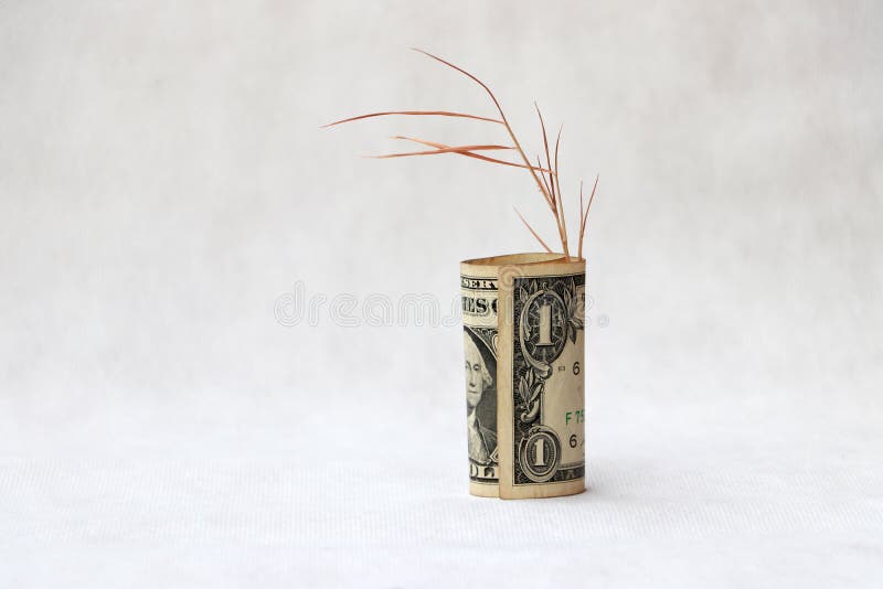 Rolled one US dollar banknote of America with brown tree branch on the white floor. Concept of saving money. stock images Rolled one US dollar banknote of America with brown tree branch on the white floor. Concept of saving money. stock images