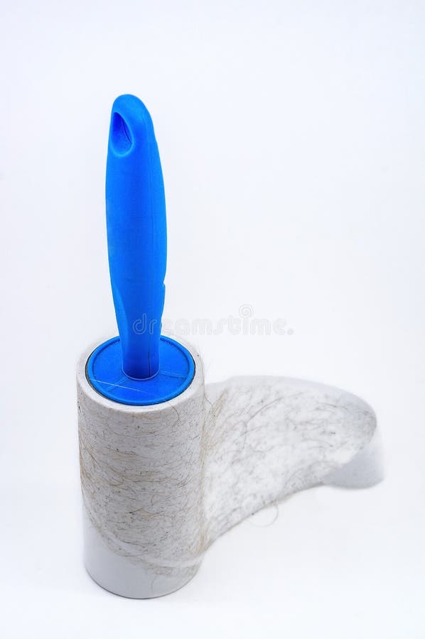 Download 253 Pet Hair Remover Photos Free Royalty Free Stock Photos From Dreamstime