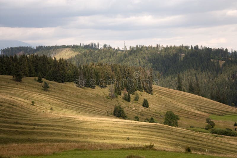 Zvlnená krajina