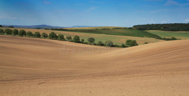 Rolling fields