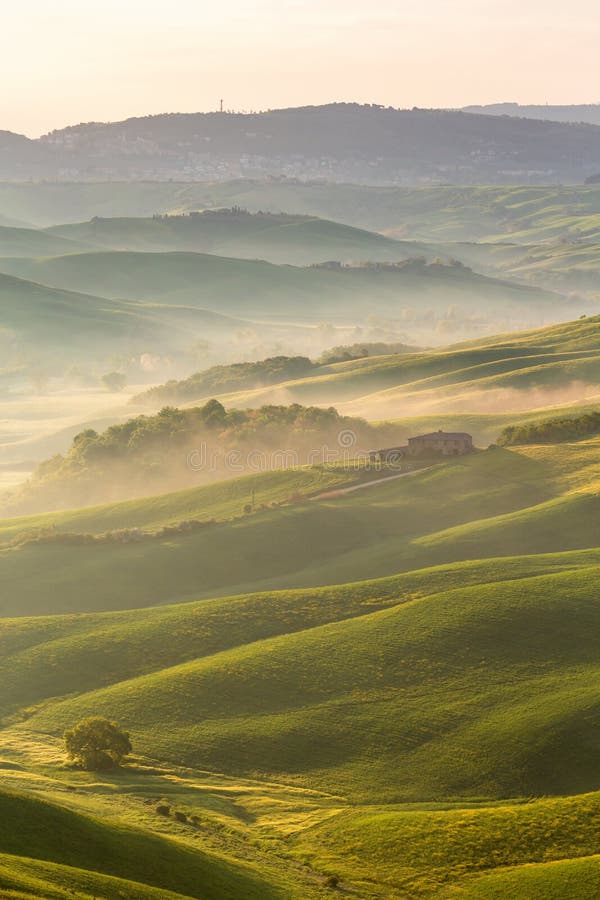 Rolling fields with fog