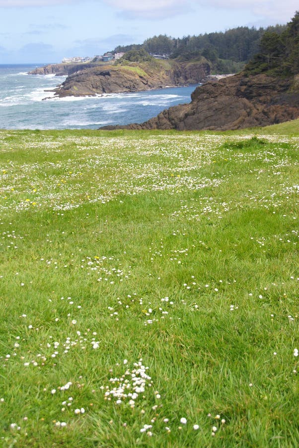 Rolling green meadows and Pacific Ocean