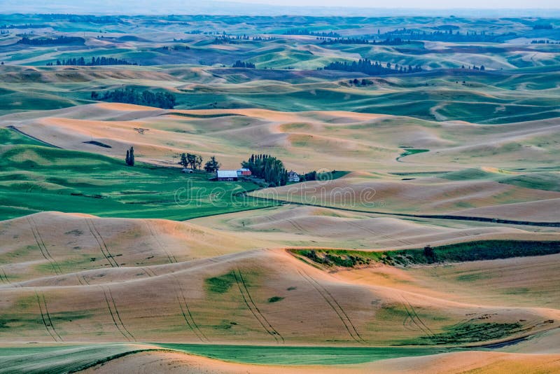 Rolling Hills and Farm Land at Palouse Washington Stock Photo Image