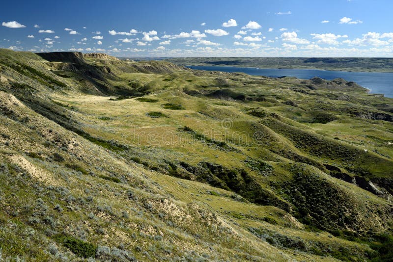 Rolling Hills Lake Diefenbaker Stock Image Image of rolling, eroded