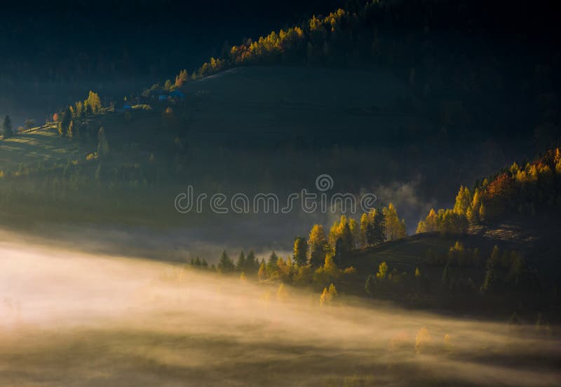 Rolling Hills in nebbia di mattina di autunno fotografia stock Rolling Hills in nebbia di mattina di autunno fotografia stock
