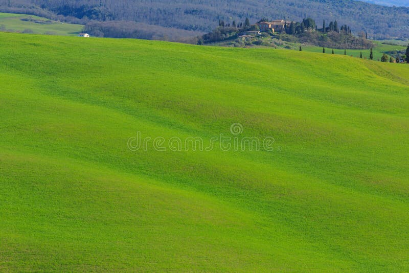 Rolling Hills of Tuscany, Italy Stock Photo Image of europe, hills 69608966
