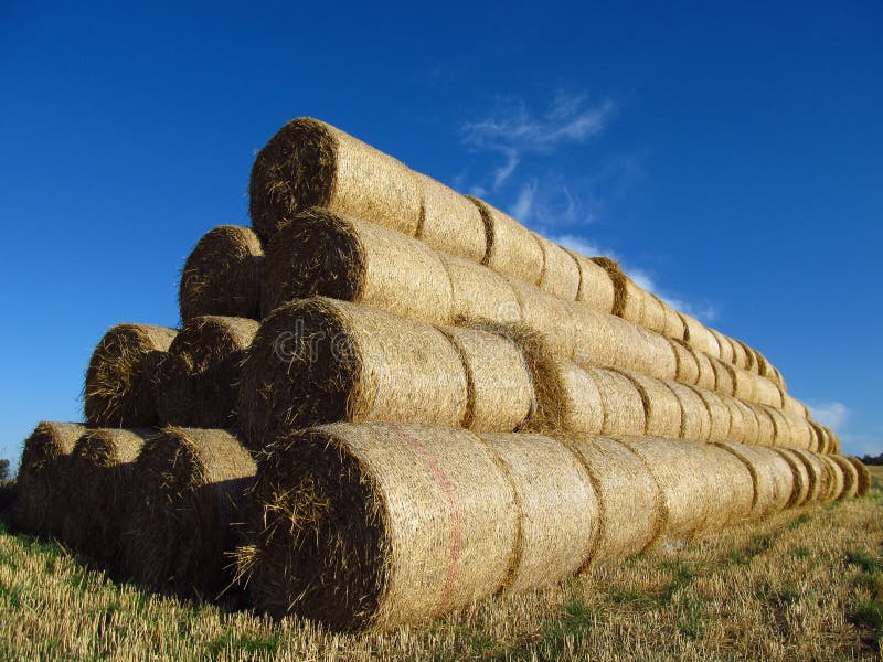 Rolls of hay