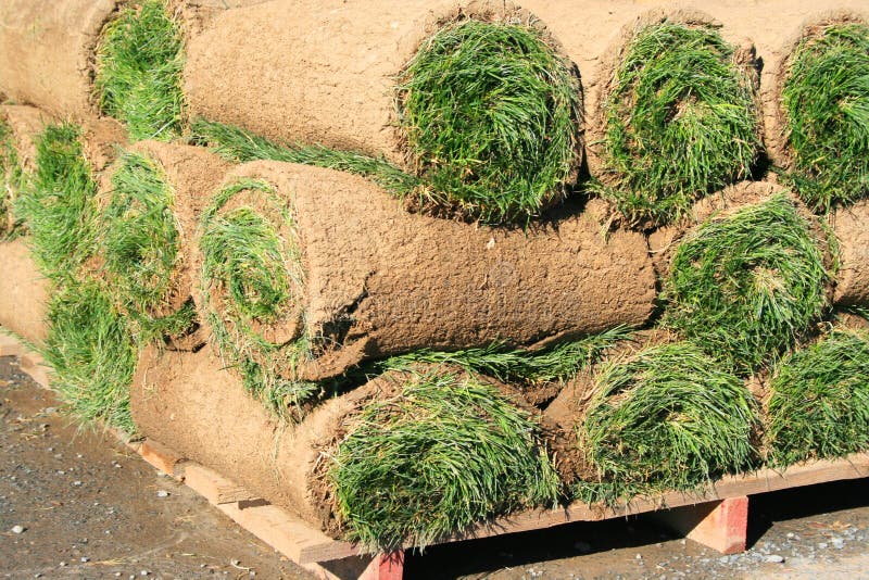 Rolls of Sod stock photo. Image of nature, plant, garden 4832428