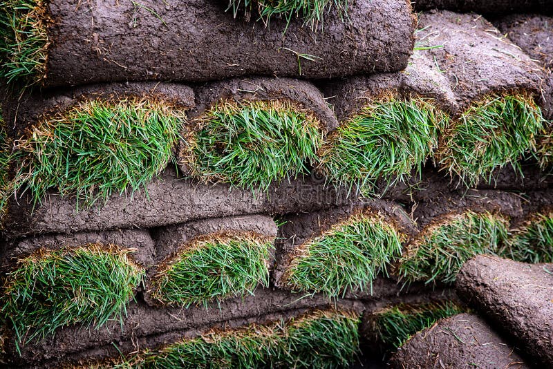 Rolls of Sod stock image. Image of outside, landscape 37513759