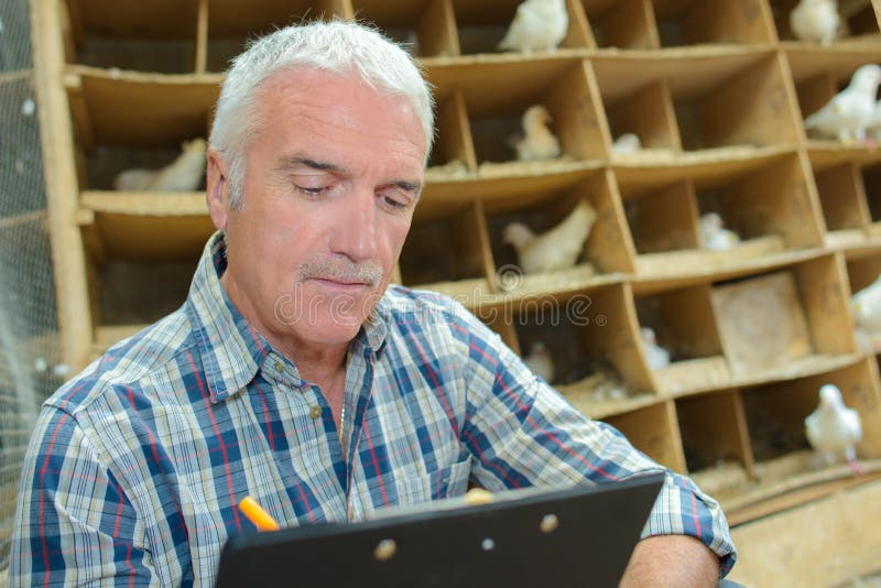 Farmer next to his pigeon loft. Farmer next to his pigeon loft